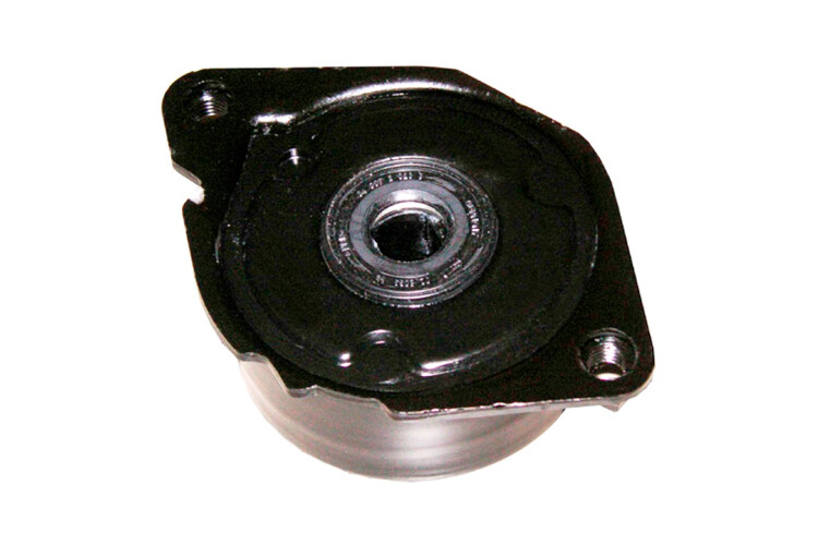 Amortiguador Del Tensor Guia Correa BMW 320D (E46) 04-05 Amortiguador Del Tensor Guia Correa BMW 320D (E46) 04-05