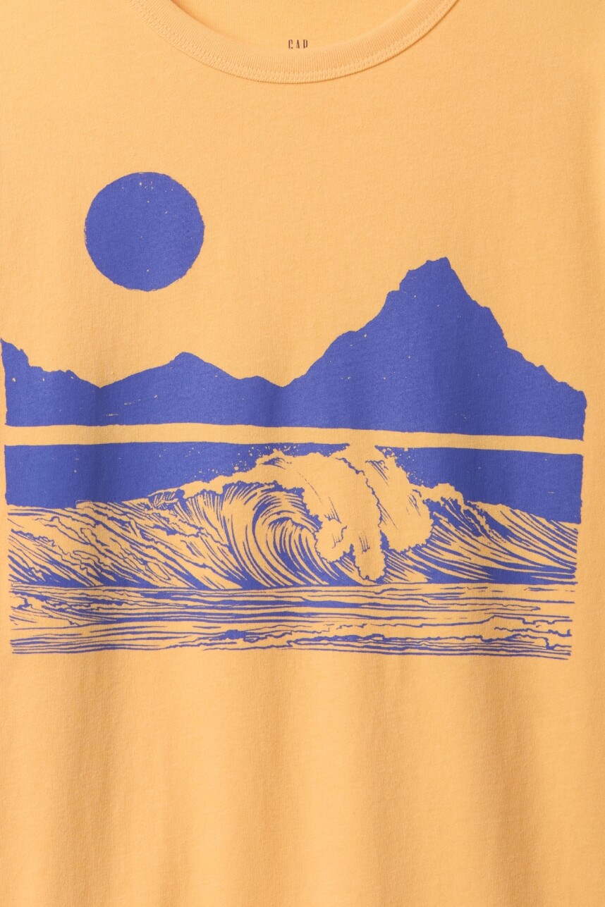 Remera Gráfico Niño Orange Nectar 660