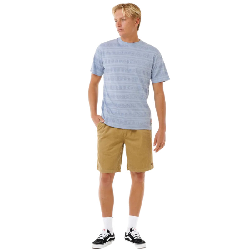 Remera Rip Curl Swc Stripey - Celeste Remera Rip Curl Swc Stripey - Celeste