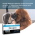DOXIPET ATIBIÓTICO PARA PERROS Y GATOS CAJA 20 COMPRIMIDOS DOXIPET ATIBIÓTICO PARA PERROS Y GATOS CAJA 20 COMPRIMIDOS