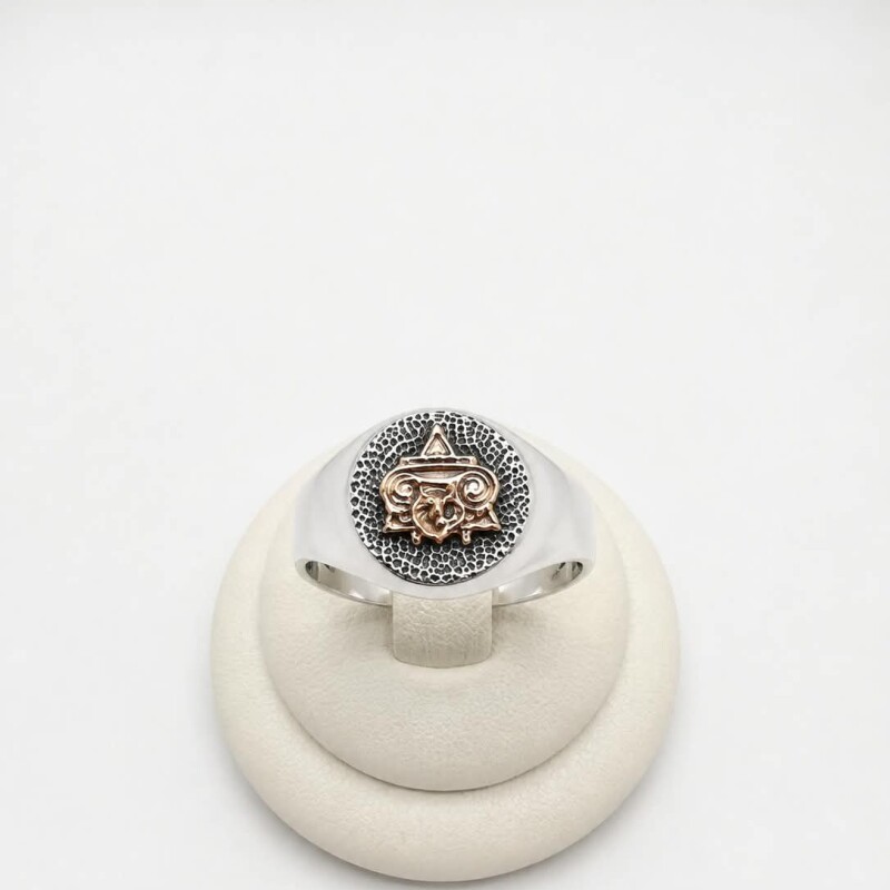 Anillo sello profesión arquitecto Anillo sello profesión arquitecto