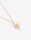 Cadena Corta con Dije Con Dijes Collar Con Dije Btánico - Dorado