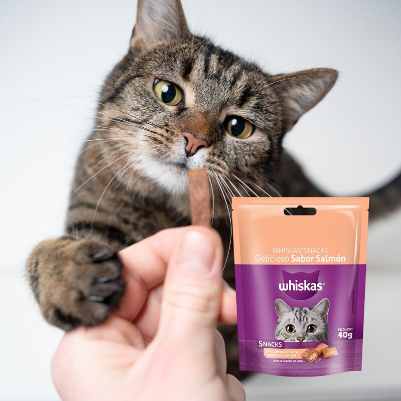 WHISKAS SNACKS SALMON 80 GRAMOS