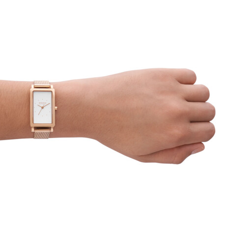 Reloj Skagen Clásico Acero Inoxidable Oro Rosa 0