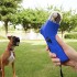 Pistola Lanzador Premios Mascota Perro Gato Interactivo Color Variante Azul