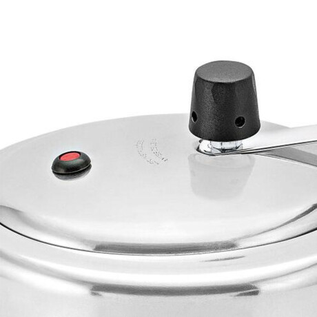 Olla Cacerola a Presión 10Lt Aluminio Pulido Panelux Classic Plateado