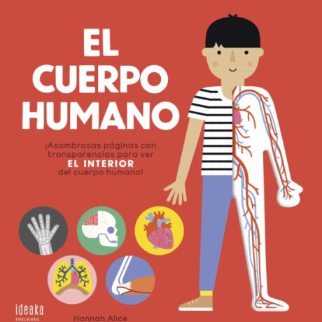 CUERPO HUMANO EL CUERPO HUMANO EL