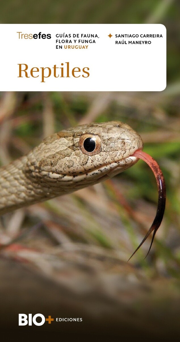 REPTILES 