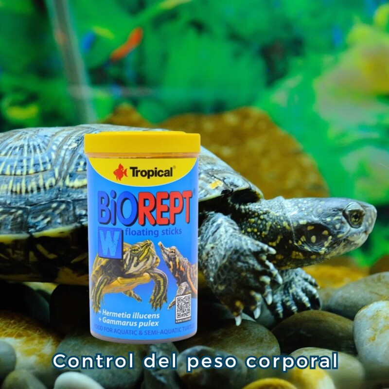 ALIMENTO PARA TORTUGAS ACUÁTICAS Y SEMIACUÁTICAS BIOREPT 30GR ALIMENTO PARA TORTUGAS ACUÁTICAS Y SEMIACUÁTICAS BIOREPT 30GR