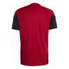 REMERA ADIDAS DFB TR JSY Hombre KB4439 Rojo
