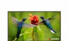 Televisor Smart James 43" - Led S43 T2E Televisor Smart James 43" - Led S43 T2E