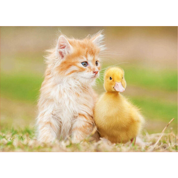 Puzzle Rompecabeza Educa Animales Amigos Pato Gato 500 Pieza Puzzle Rompecabeza Educa Animales Amigos Pato Gato 500 Pieza