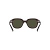 Ray Ban Rb4398 Erik 902/31