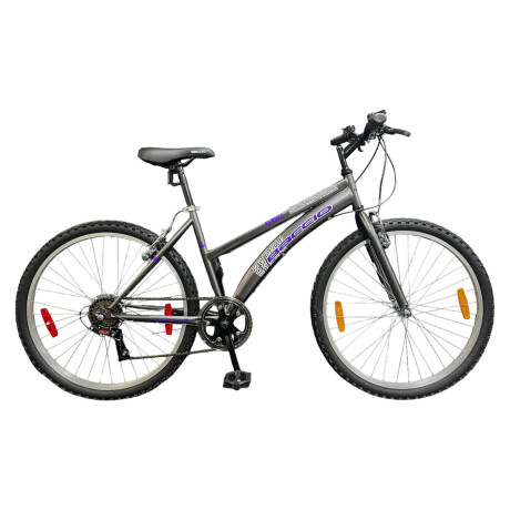 Bicicleta Baccio Alpina Lady Montaña rodado 26 con 6 cambios GRIS/VIOLETA