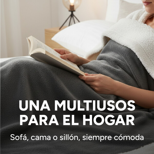 Frazada Manta Polar Con Corderito Acolchado 1 Plazas 200x150 Variante Color Gris