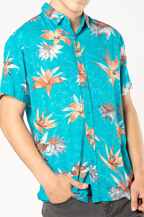 CAMISA GORIN Celeste
