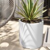 Macetero Cilindro 30 Blanco Alto 30cm x 30cm diametro, 20 lts Macetero Cilindro 30 Blanco Alto 30cm x 30cm diametro, 20 lts