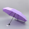 Paraguas 3 Pliegues - Violeta Unica