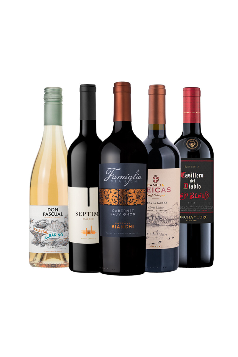 Pack Selección Good Times Good Wines x5 vinos blancos 