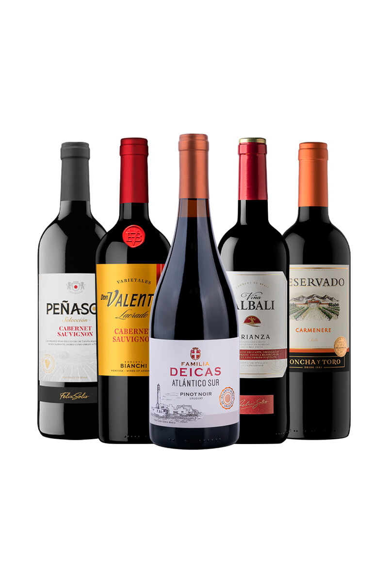 Pack Bacán Selección de Momentos - Para Compartir x5 vinos 