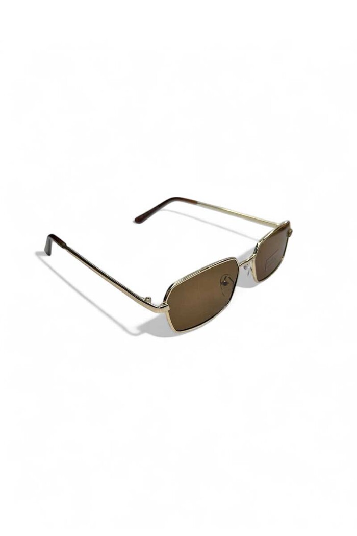 Lentes de Sol FIRENCE Marron