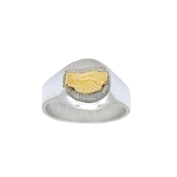 Anillo Profesión Asistente social-Plata y Oro-Sin Piedra-AP5001 Sinpiedra