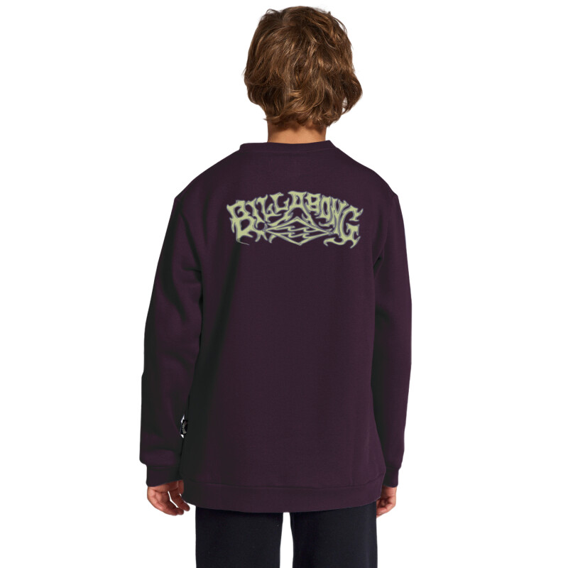 Buzo Billabong Alternative Crew Niño - Violeta Buzo Billabong Alternative Crew Niño - Violeta