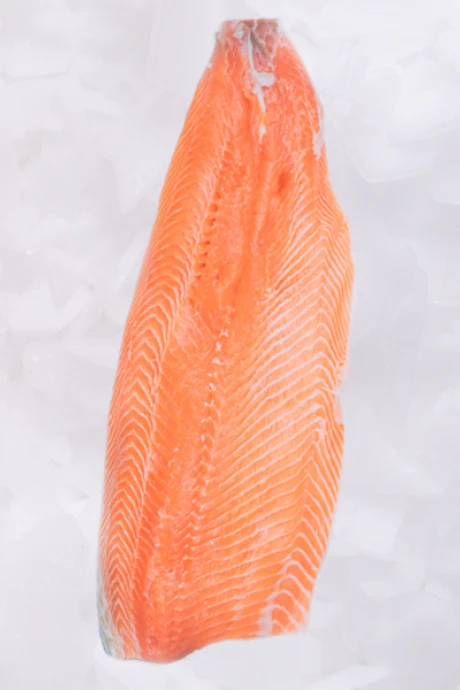 Filete de Salmón Chileno Fresco 500 g Filete de Salmón Chileno Fresco 500 g