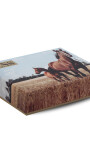 BILLETERA ODIN C/ BORDADO TABACO C/ CHOCOLATE