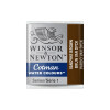 Acuarela Cotman - Winsor & Newton Tonos Tierra