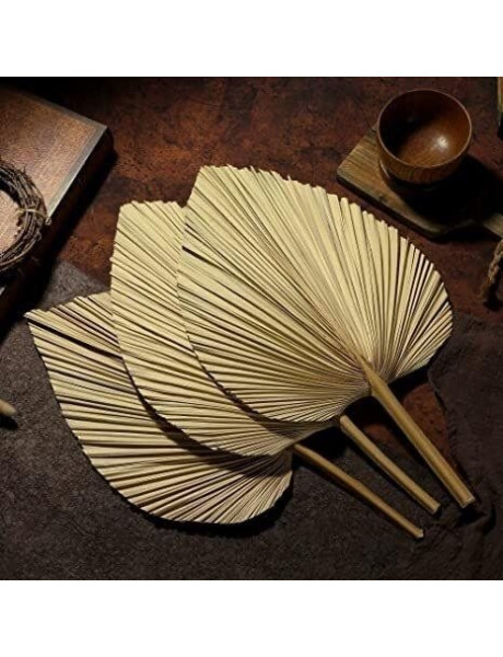 HOJA DE PALMA DECORATIVA 60CM NATURAL HOJA DE PALMA DECORATIVA 60CM NATURAL