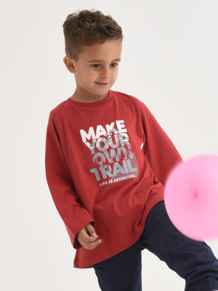 Remera estampada Bordo