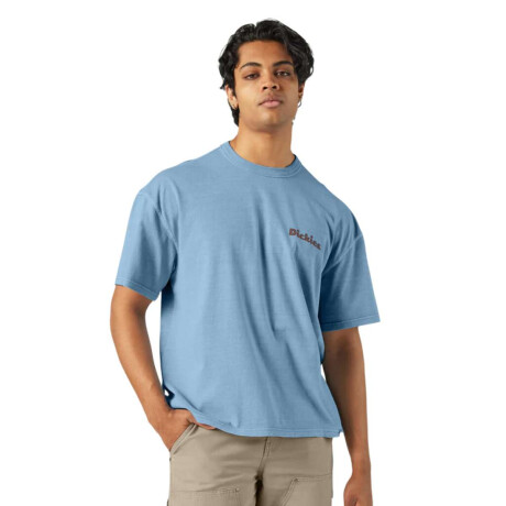 Remera Dickies Slayden Multicolor