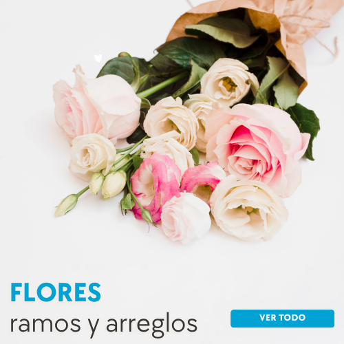 Rosas, Flores, envíos en el día