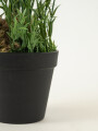 Planta Lavender 48cm Color Unico
