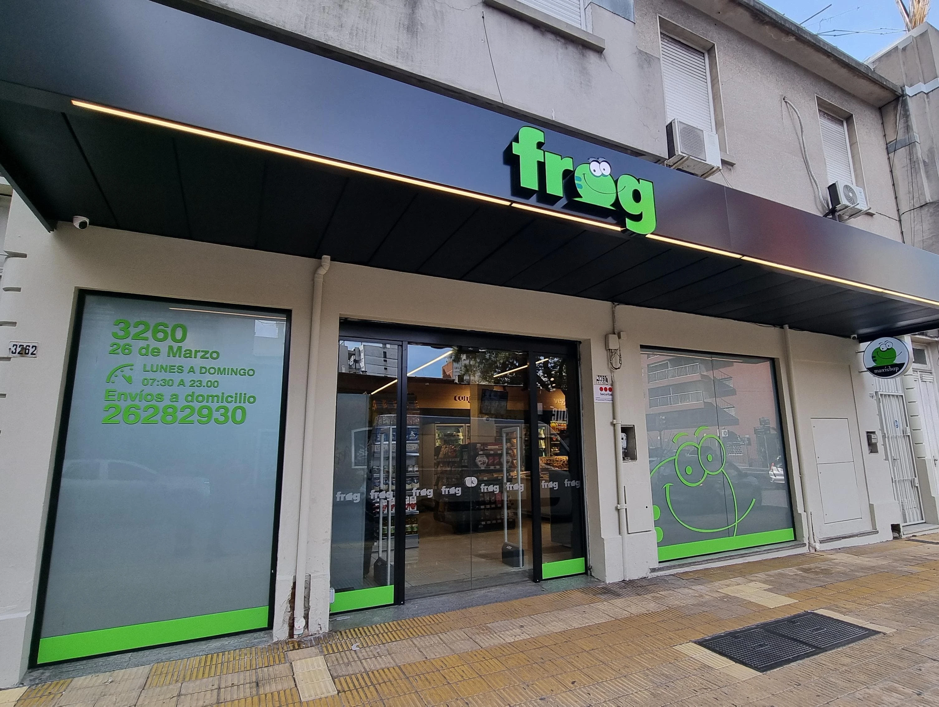 Frog 9