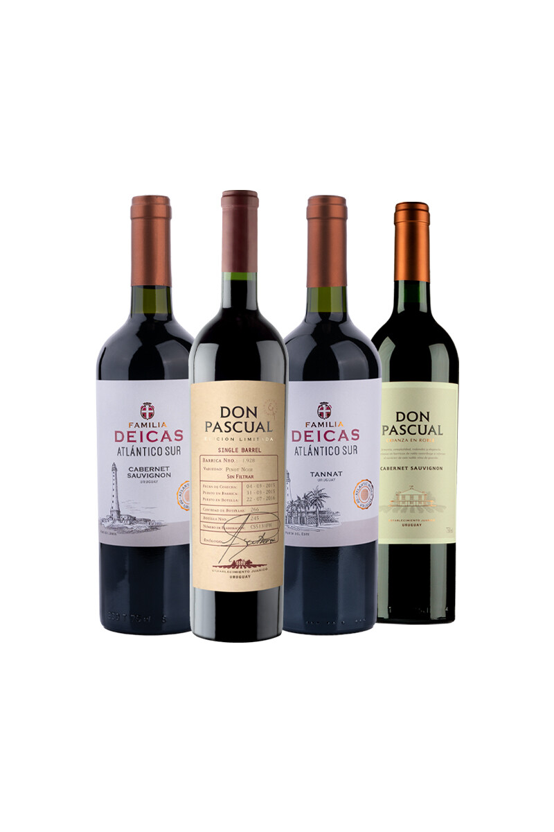 Pack Bacán Selección Mapa del Sur x4 vinos Raíces Uruguayas 