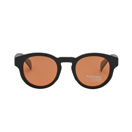 Lentes de Sol Bloom polarizados y protección UV PL703 C2