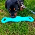 Juguete Largo Perro Doble Agarre Chifle Mordible Resistente Color Variante Azul