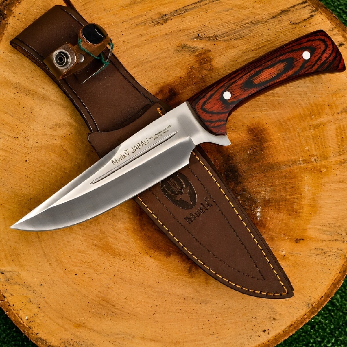 Cuchillo Muela Jabalí 17E 