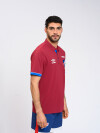 REMERA POLO MOLO HOMBRE Nacional Oficial Hombre 0w6