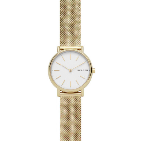 Reloj Skagen Fashion Acero Oro 0