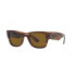 Ray-Ban 0840S Havana