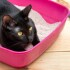 BANDEJA GATO MENPLAST 10 LITROS BANDEJA GATO MENPLAST 10 LITROS