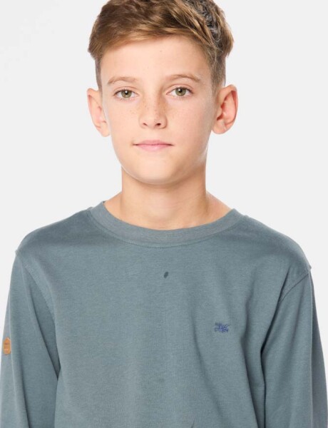 REMERA LISA Petroleo