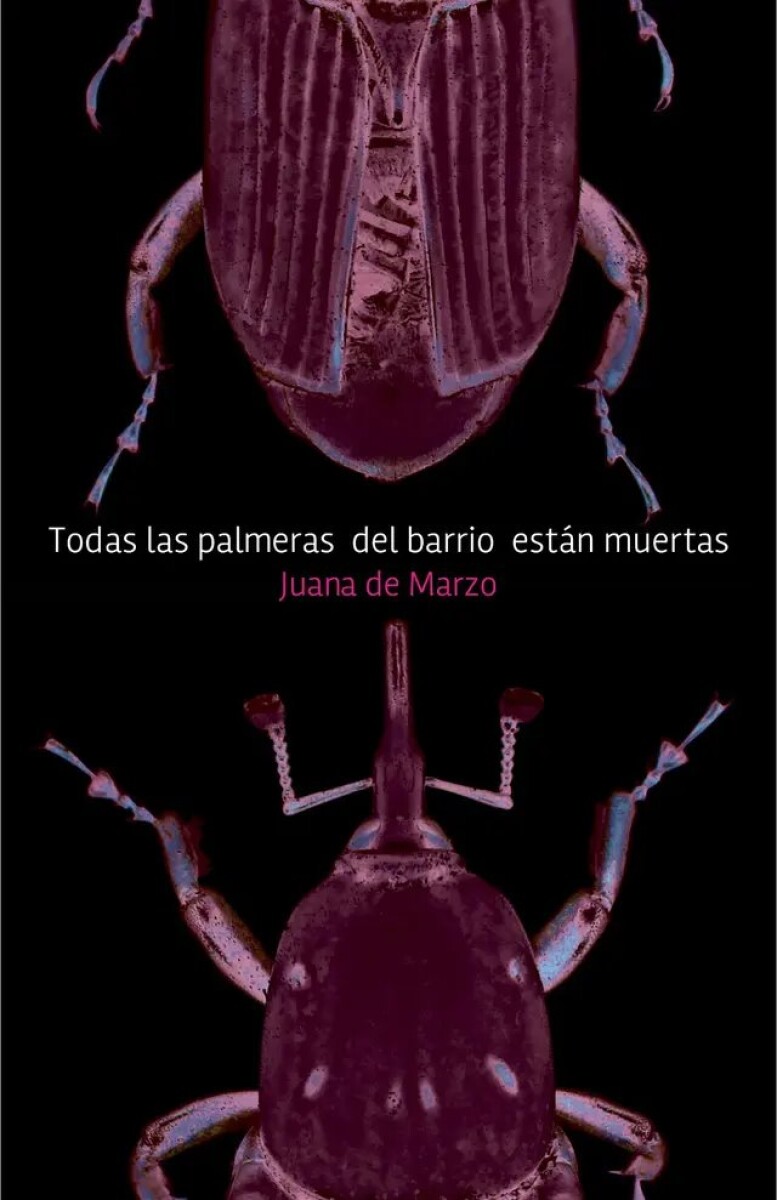 TODAS LAS PALMERAS DEL BARRIO ESTAN MUERTAS 