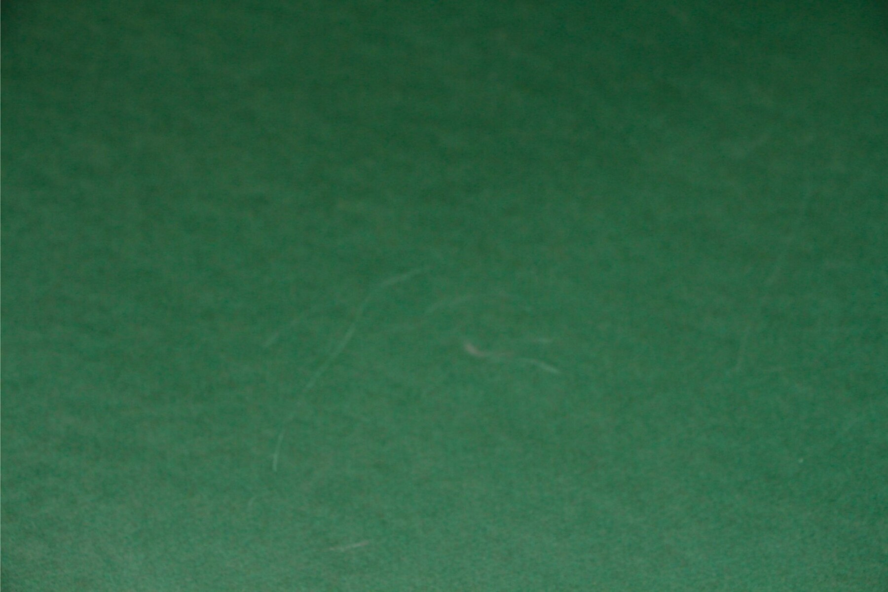 CARTULINA PRISMA 50X70 DE 220 GRAMOS - COLOR PINO Nº12 