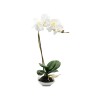 ORQUIDEA BCO C/MACETERO 10.5X10.5X38CM Unica