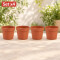 Set x4 Maceta 1,5 lts TERRACOTA