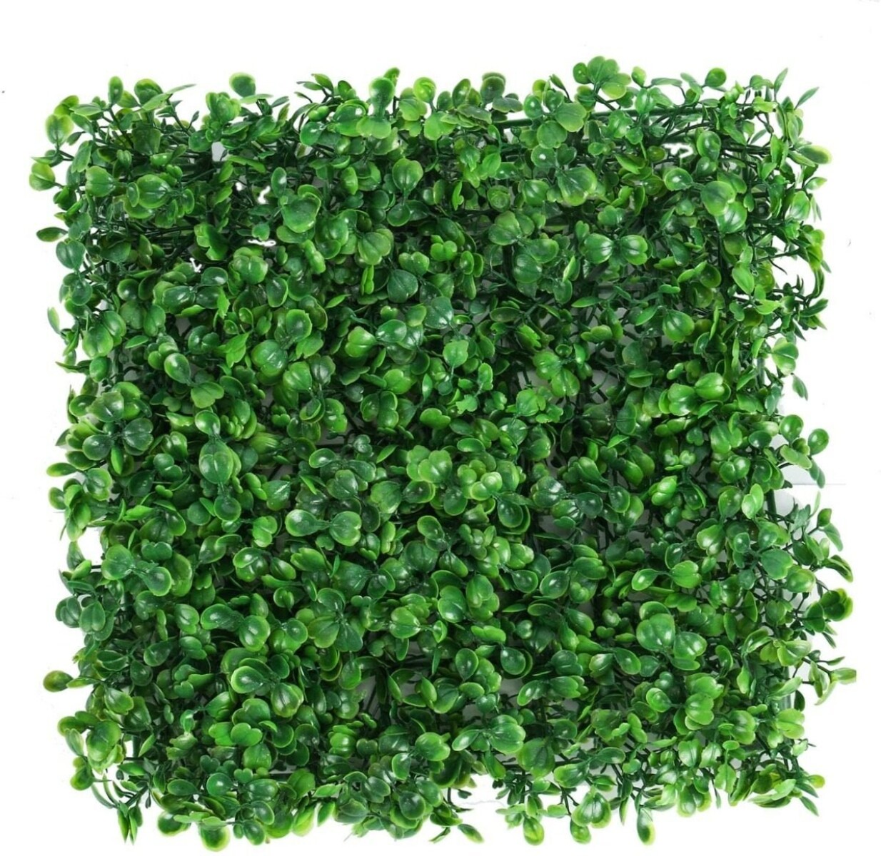 Enredadera Pasto Artificial Muros Jardin Piscina 25x 25cms - Variante Color Verde Claro 